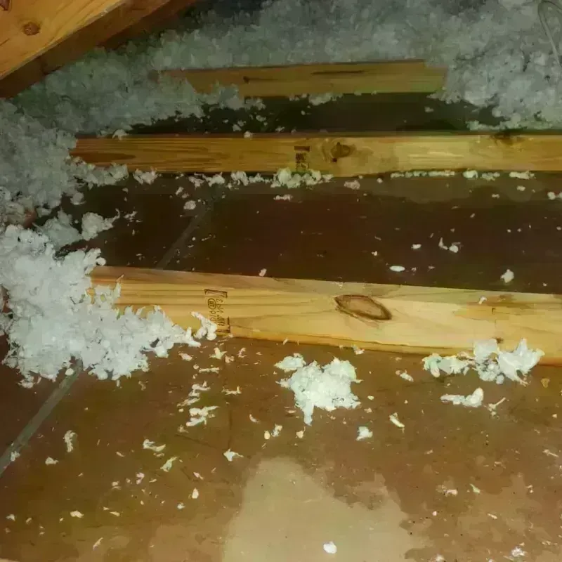 Attic Water Damage in Highland Park, TX