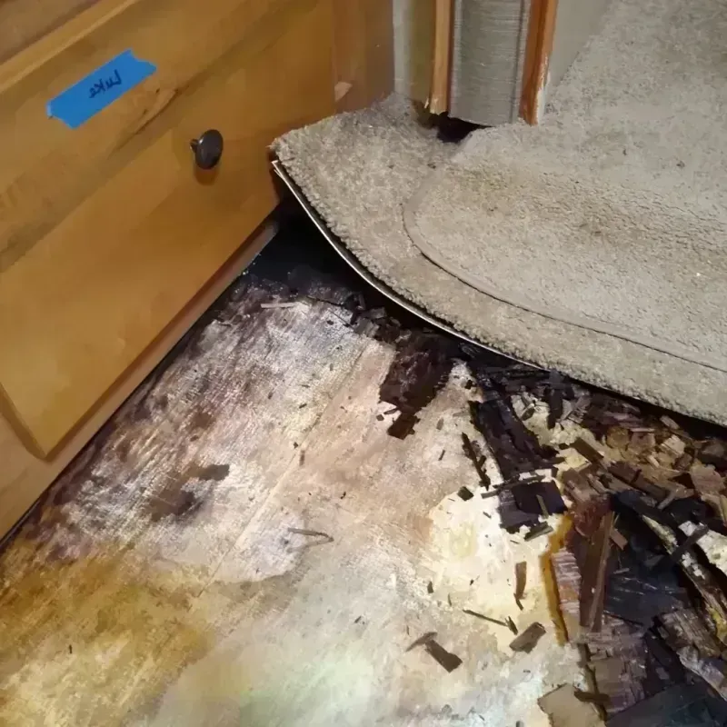 Wood Floor Water Damage in Highland Park, TX